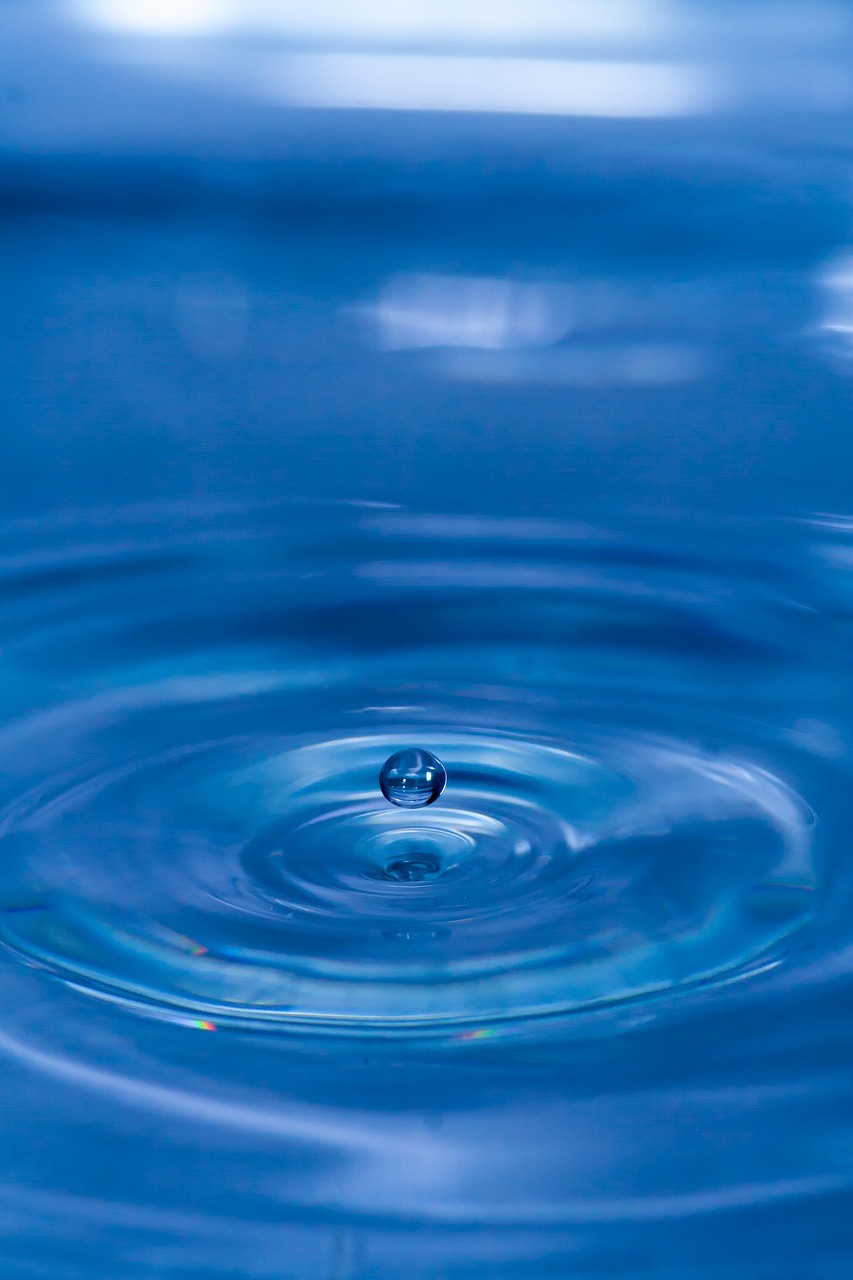 découvrez nos offres de liquidation exceptionnelle : prix réduits sur une large sélection de produits. profitez vite des meilleures affaires avant rupture de stock !