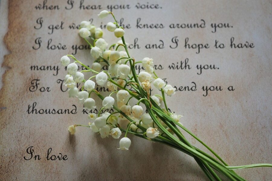 découvrez l'art de la poésie : des vers inspirants, émouvants et créatifs pour éveiller vos émotions et enrichir votre imagination.