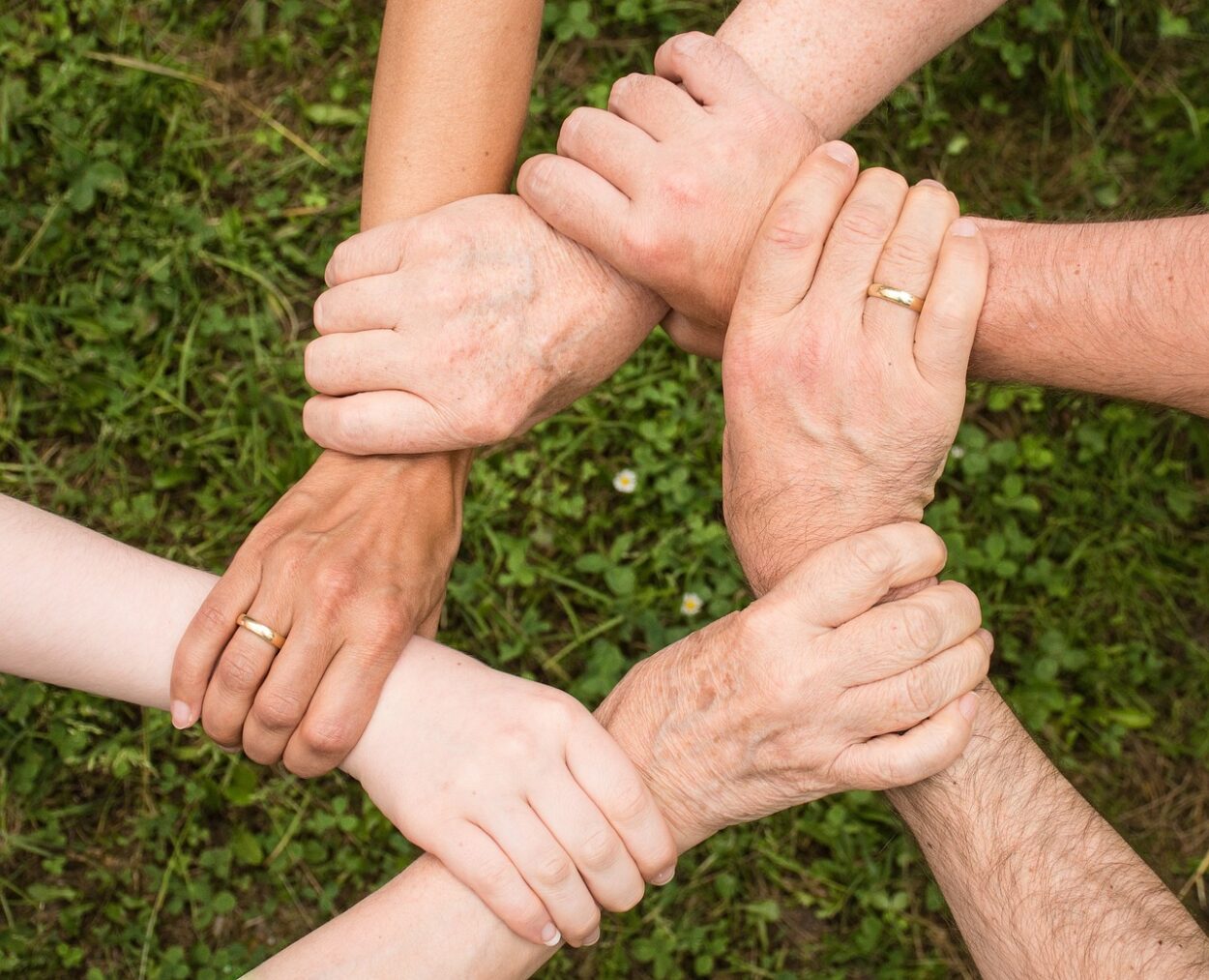 community bookshare est une plateforme collaborative permettant aux membres de partager, emprunter et découvrir des livres au sein d'une communauté passionnée de lecture.