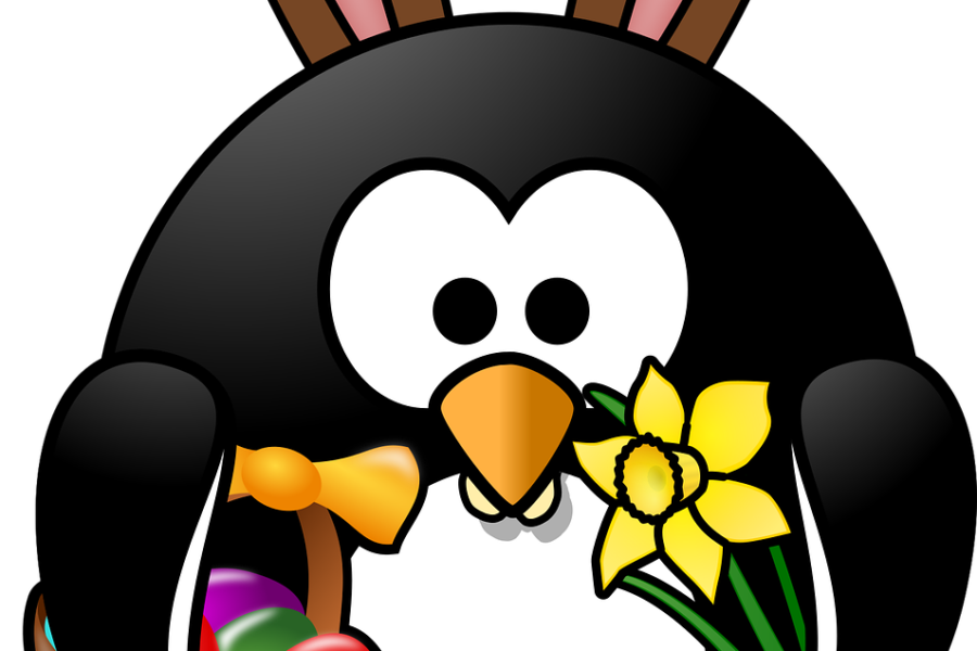 découvrez le festival des jonquilles, une célébration printanière colorée mettant en avant la beauté des fleurs, des défilés festifs et des activités familiales pour tous.