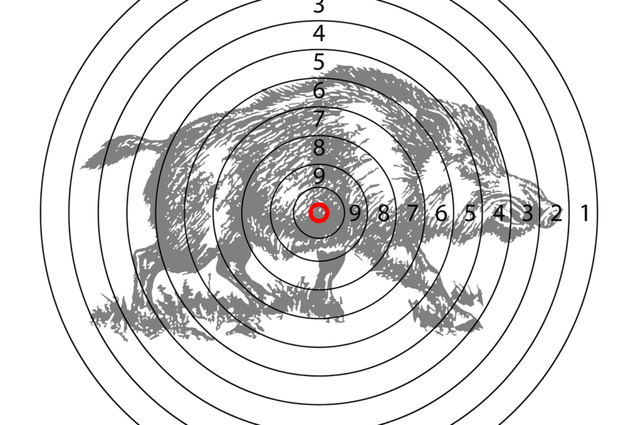 découvrez nos services de shooting photo professionnels pour capturer vos moments uniques avec qualité et créativité.