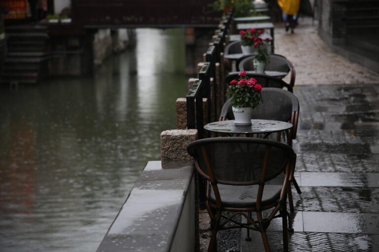découvrez nos rues fleuries, un voyage enchanteur au cœur de la nature urbaine éclatante de couleurs et de parfums.