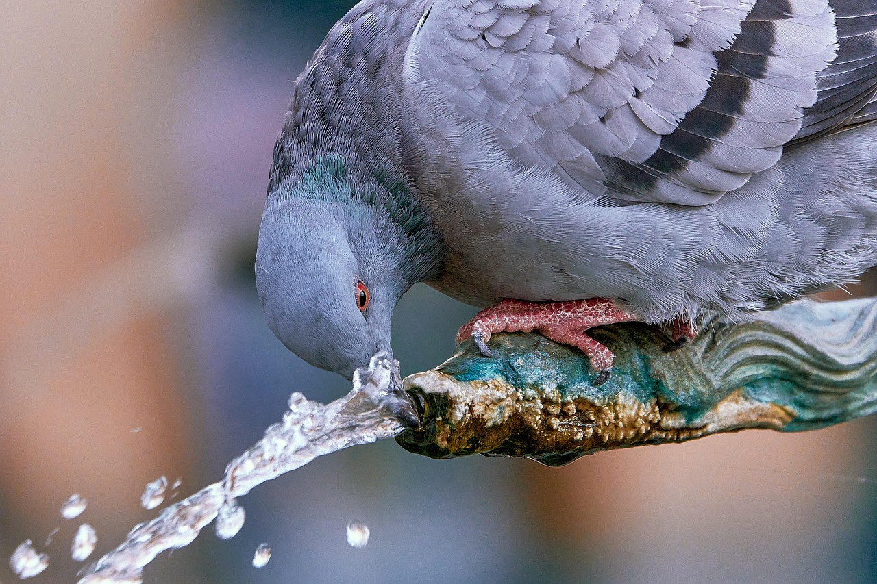 modernisation du réseau d'eau potable : améliorez la qualité, la sécurité et l'efficacité de l'approvisionnement en eau pour un service durable et fiable.