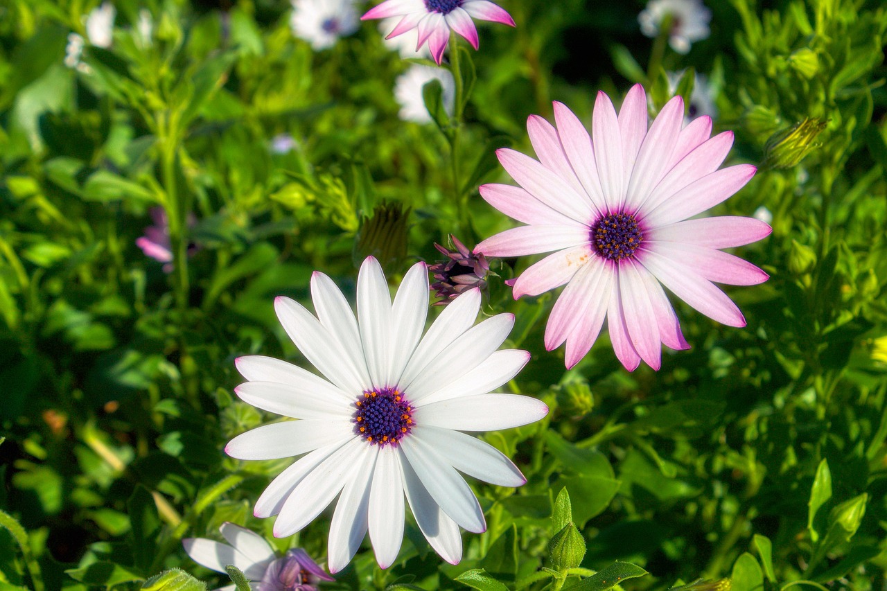 découvrez tout sur le lundi de pâques, ses traditions, célébrations et son importance culturelle en france.