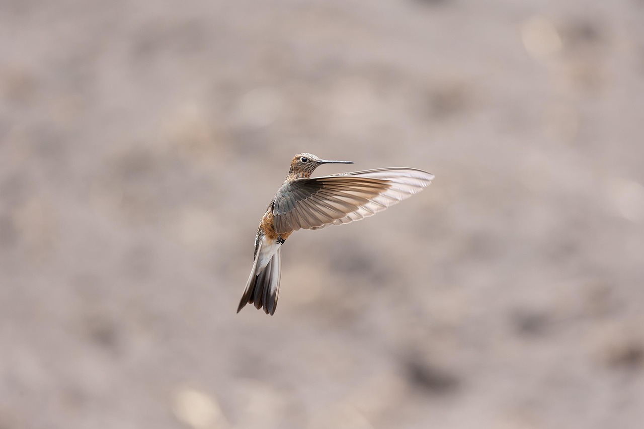 découvrez notre immense péniche privée, parfaite pour des événements exclusifs et une expérience unique sur l'eau.