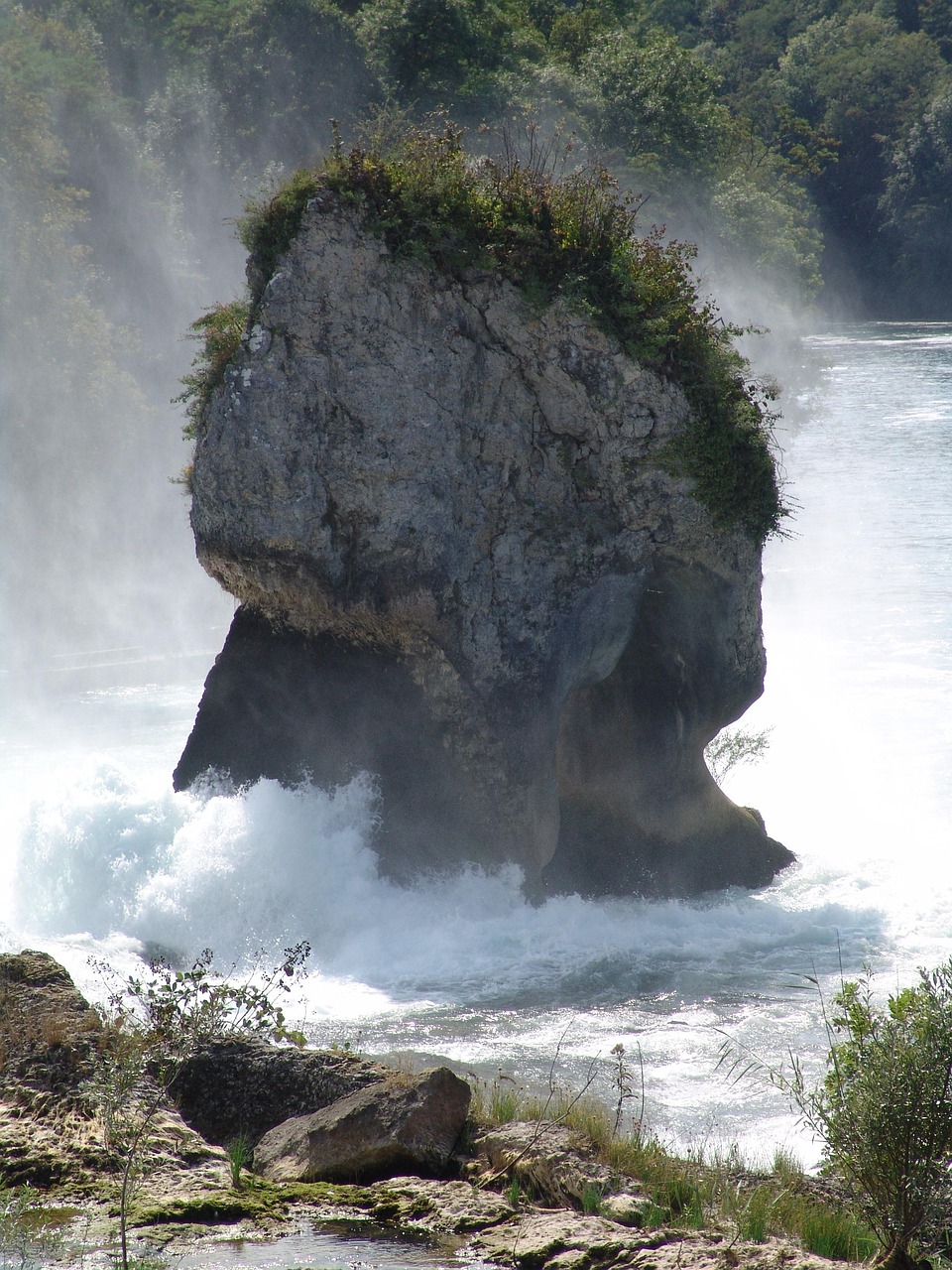 découvrez les mécanismes et impacts de la violence institutionnelle, une analyse des abus de pouvoir au sein des structures sociales et gouvernementales.