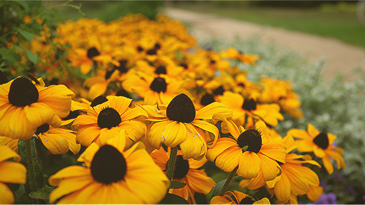 découvrez les secrets de la k-beauty, la routine de beauté coréenne pour une peau éclatante et un teint parfait. astuces, produits et conseils incontournables.