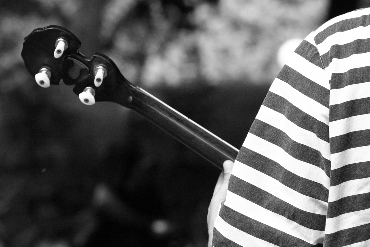 découvrez le carnaval de nantes avec une audio description détaillée pour profiter pleinement des festivités, accessible à tous.