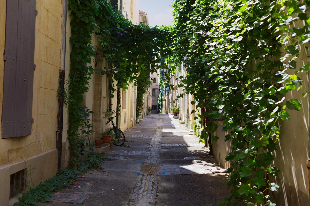 découvrez l'ambiance unique de provence street, un lieu où charme provençal et vie urbaine se rencontrent pour une expérience inoubliable.