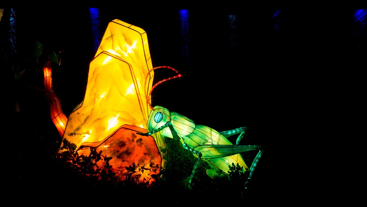 découvrez notre spring festival, une célébration colorée du printemps avec des animations, des concerts et des activités pour toute la famille.