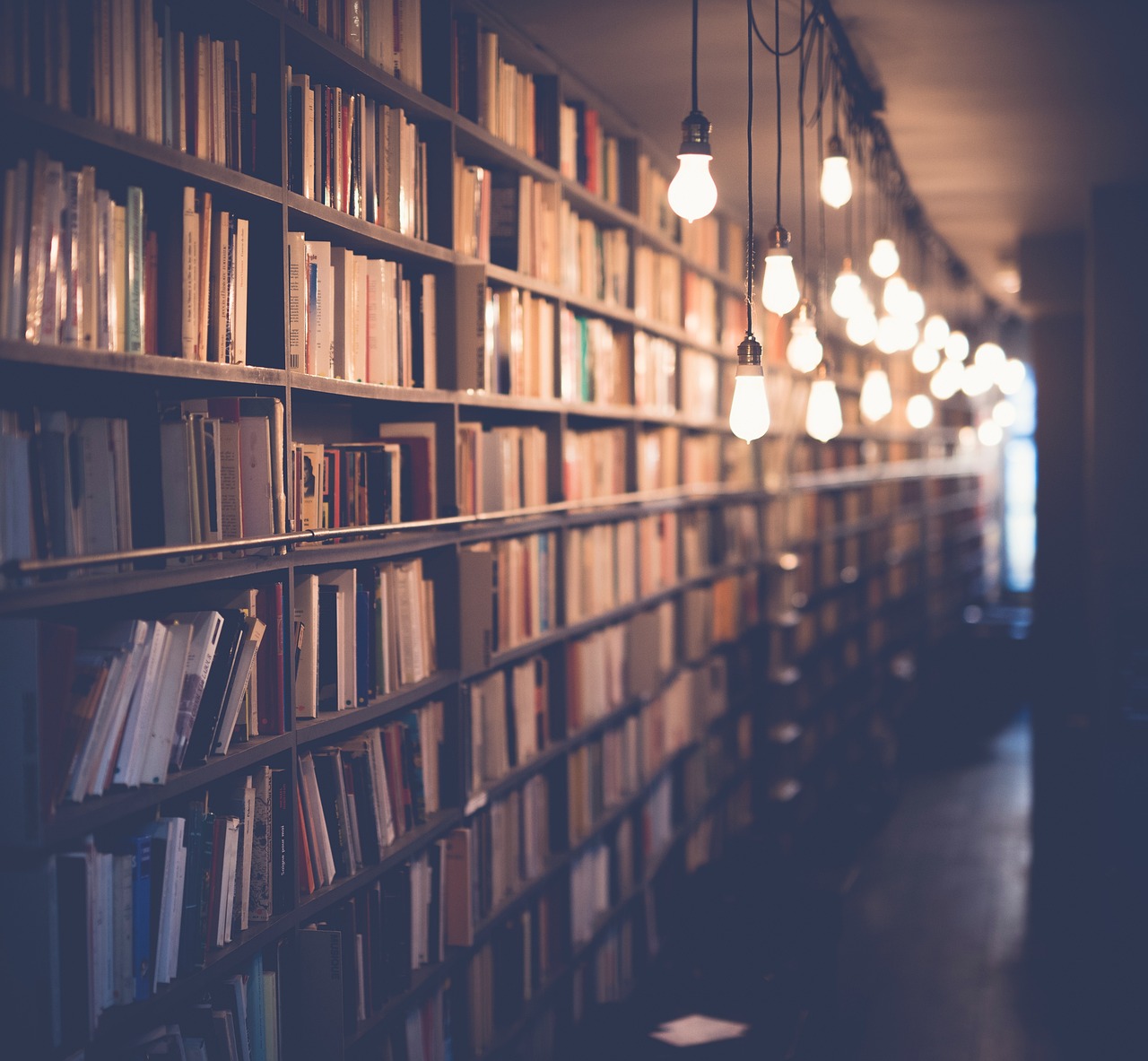 découvrez notre street library : une bibliothèque de rue accessible à tous pour partager et emprunter des livres gratuitement dans votre quartier.